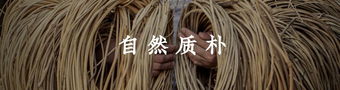 東家“超高顏值”新品，驚艷上市！