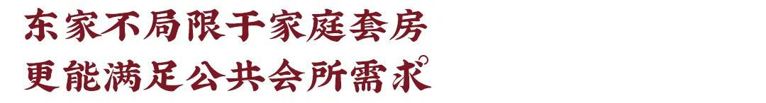 東家人物志 | 楊龍:在西南邊境開店的傳奇藝術家